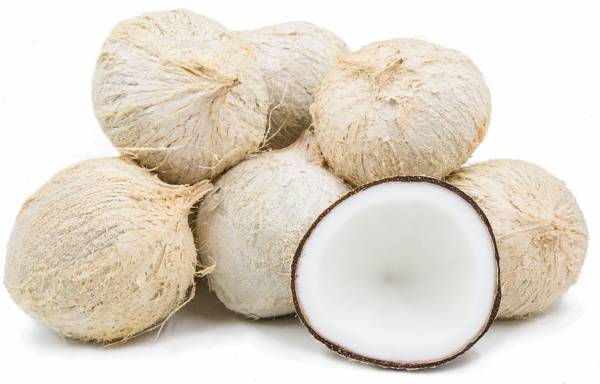 Young brown coconut - Image 2