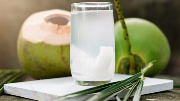 Coconut malai pani  (250ml)