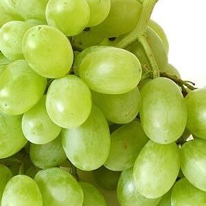 Grapes .