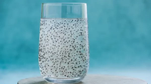 COCONUT WATER ,WITH SABJA SEEDS (250ML)